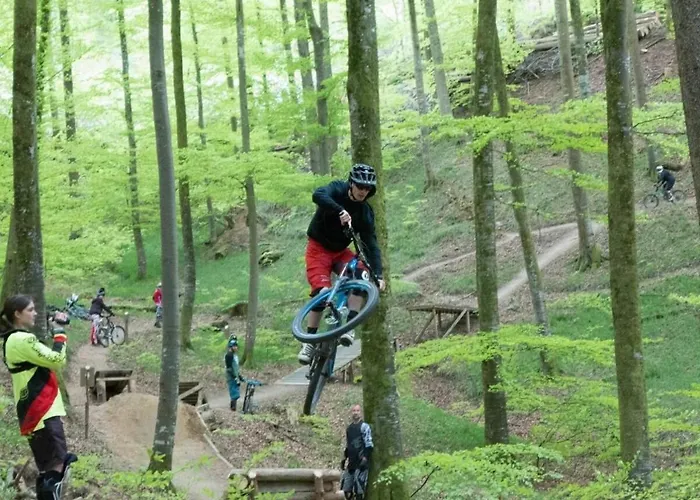 Ferienwohnung Im Laubgarten